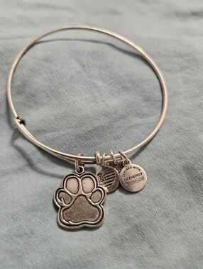 Alex And Ani Silver Paw Charm Bangle Bracelet